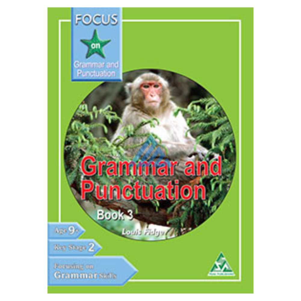 Focus On Grammar And Punctuation Book 3 (O and A levels)