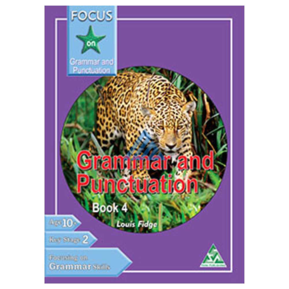 Focus On Grammar And Punctuation Book 4 (O and A levels)